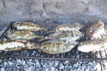 Fish picknik - Vrgada, foto 10