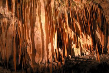 Postojenská jeskyně (Postojenska jama) SLOVINSKO, foto 4