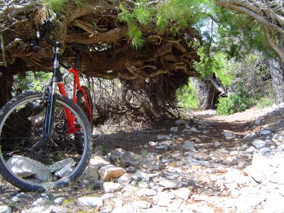 Vransko jezero  - mountin biking - cyklistický výlet 38 km