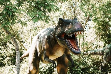 Dinopark ve Funtaně