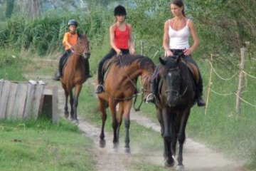 Jízda na koni - Vrana, Chorvatsko, Severní Dalmácie
