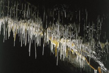 Postojenská jeskyně (Postojenska jama) SLOVINSKO, foto 20