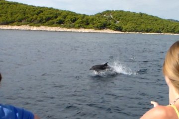 Výlet za delfíny a ostrov Vrgáda